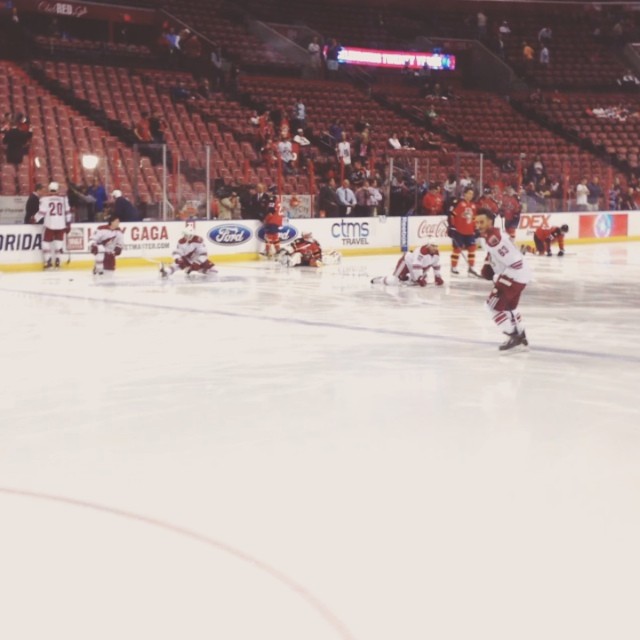 #Coyotes on the ice for warm-ups 3/11/14